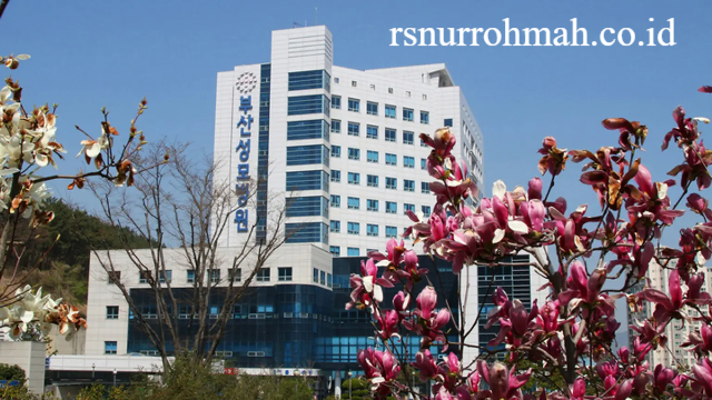 Rumah Sakit Ternama di Korea Selatan dan Bidang Spesialisasinya